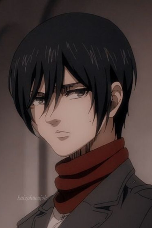 Mikasa Ackerman 